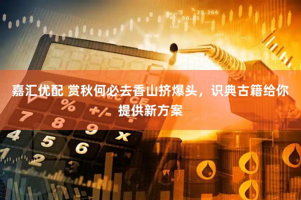 嘉汇优配 赏秋何必去香山挤爆头，识典古籍给你提供新方案