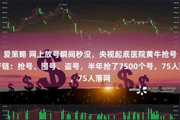爱策略 网上放号瞬间秒没，央视起底医院黄牛抢号黑产链：抢号、囤号、盗号，半年抢了7500个号，75人落网