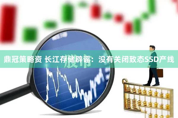 鼎冠策略资 长江存储辟谣：没有关闭致态SSD产线