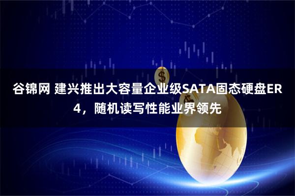 谷锦网 建兴推出大容量企业级SATA固态硬盘ER4，随机读写性能业界领先