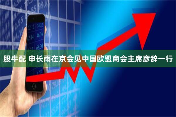 股牛配 申长雨在京会见中国欧盟商会主席彦辞一行