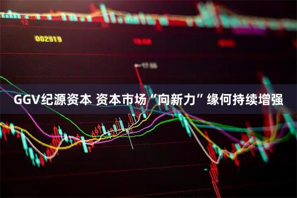 GGV纪源资本 资本市场“向新力”缘何持续增强
