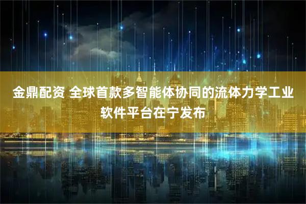 金鼎配资 全球首款多智能体协同的流体力学工业软件平台在宁发布
