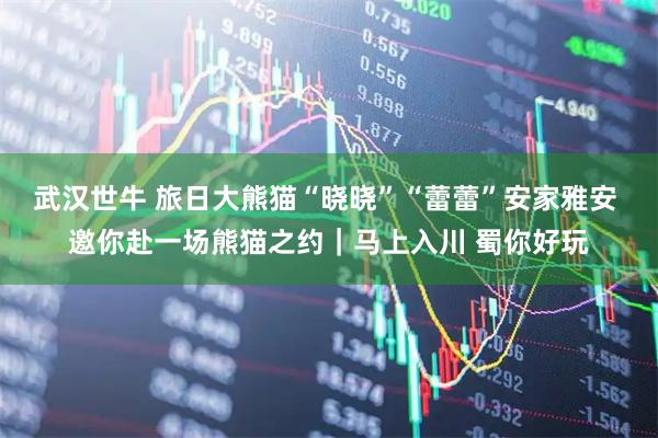 武汉世牛 旅日大熊猫“晓晓”“蕾蕾”安家雅安 邀你赴一场熊猫之约｜马上入川 蜀你好玩