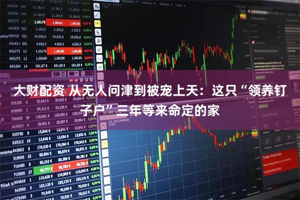 大财配资 从无人问津到被宠上天：这只“领养钉子户”三年等来命定的家