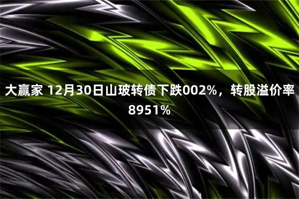 大赢家 12月30日山玻转债下跌002%，转股溢价率8951%