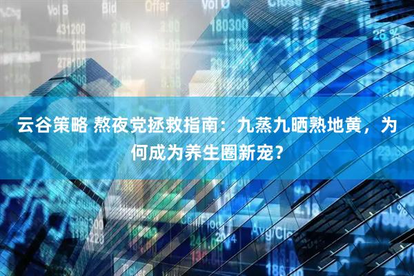 云谷策略 熬夜党拯救指南：九蒸九晒熟地黄，为何成为养生圈新宠？